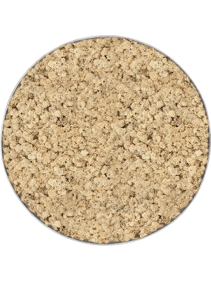 Mos schilderij | Beige/ Naturel