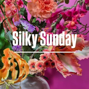 Silky Sunday